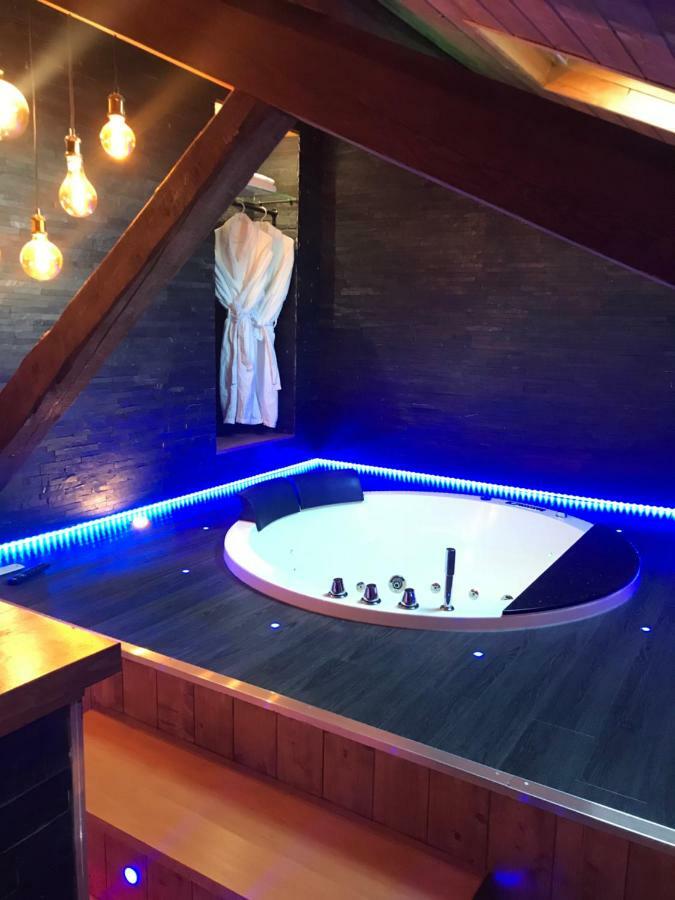 Le Chalet Loft And Spa Villeurbanne Dış mekan fotoğraf
